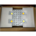 Controlador LED COB GROW LIGHTS C / W