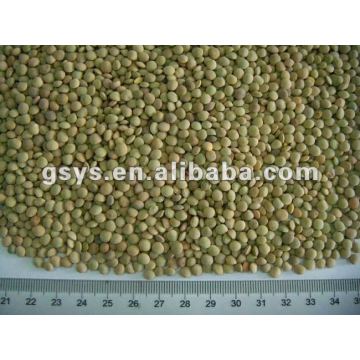 chinese lentils mixed color