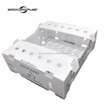 Coroplast Okra Packing Box