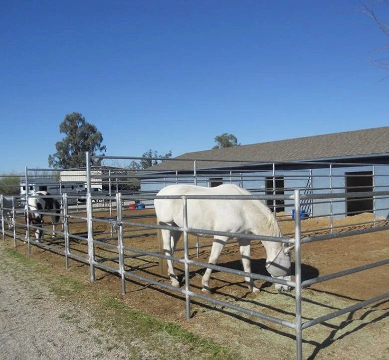 Australia Cattle Farm Equipment Rails cerca de los paneles de ganado