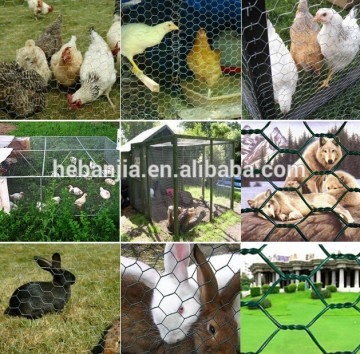 hot sale high quality hexagonal coop chicken iron wire mesh(ISO9001 factory)