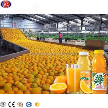 Turnkey Project: Juice Processing Machine for Orange Juice Production Line