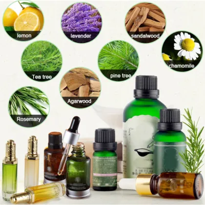 Best Price Lemon Essential Oil Extraction Equipment