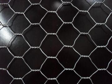 Hot dipped galvanized gabion mesh