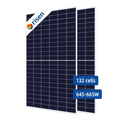 Global Market for Risen PV Panels: 132-Cell 640W to 665W Solar Panels