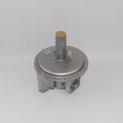 Giuliani Anello Air-Fired Proportional Valves DN50 GAVR50