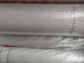 E-Glass 4x4 White 145g Fiberglass Mesh