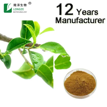 Green Tea Green Tea Extract Powder