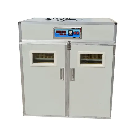 Chicken Egg Hatcher and Incubator for Sale