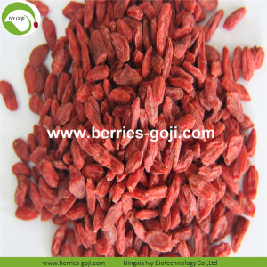 Factory Supply Fruits Box Package Wholesale Goji Berry
