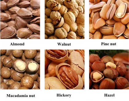 Automatic Nut Kernel and Shell Separator for Almonds, Walnuts, and Pistachios