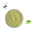 Celery Extract Powder of Celery Extract Powder