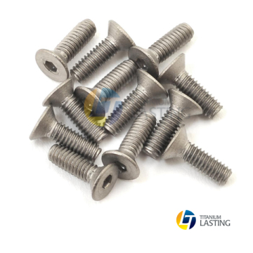 Borong Custom Titanium Flat Head Screw Screw