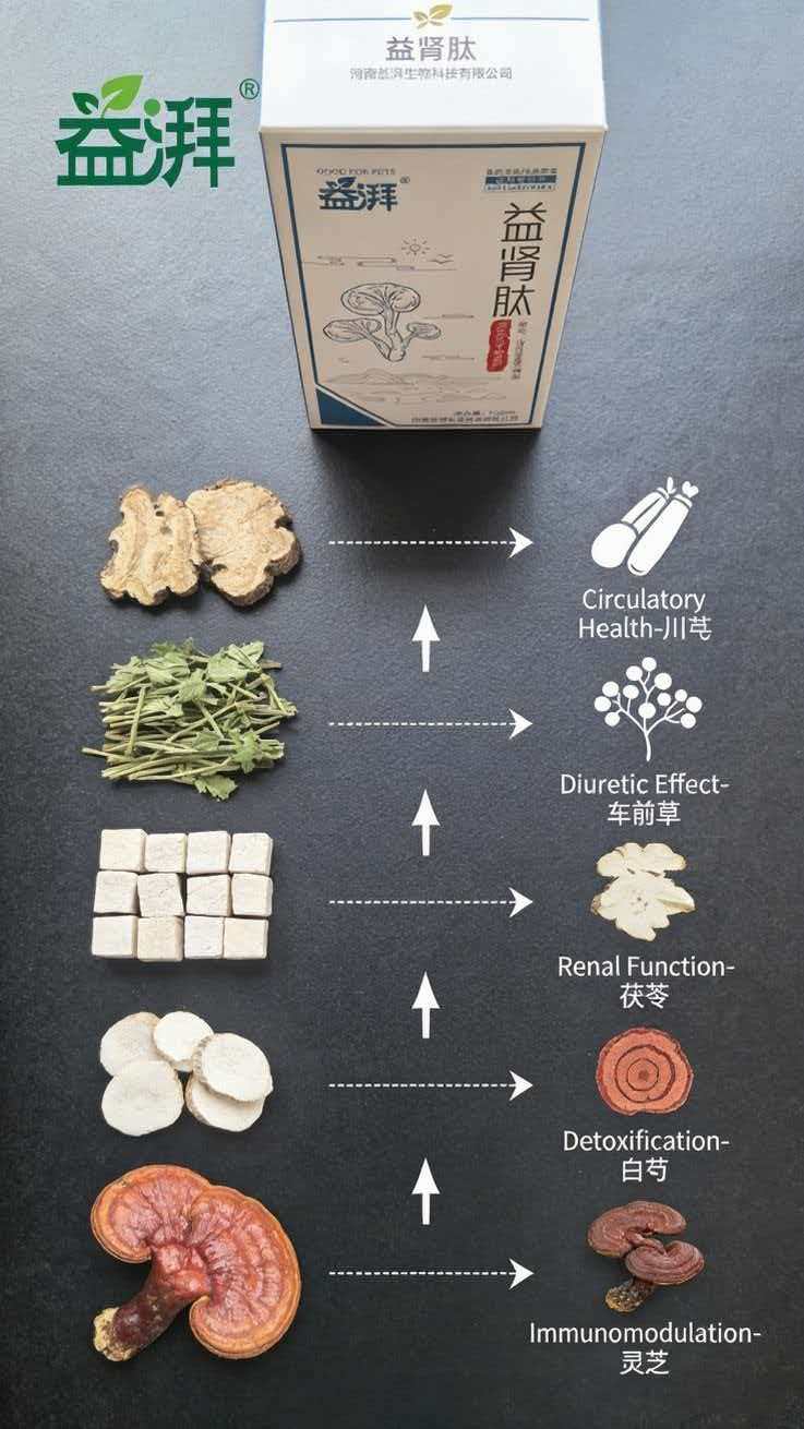pet Chronic Renal Failure Management