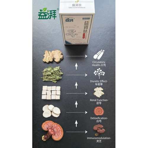 Χρόνια Νεφρική Νόσο (ΧΝΝ) Φροντίδα για γάτες/σκύλους