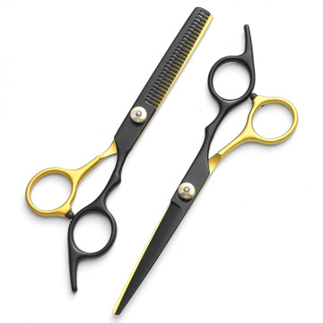 6 Inch Beauty Hair Cutting Scissors Set for Barbering and Hairdressing