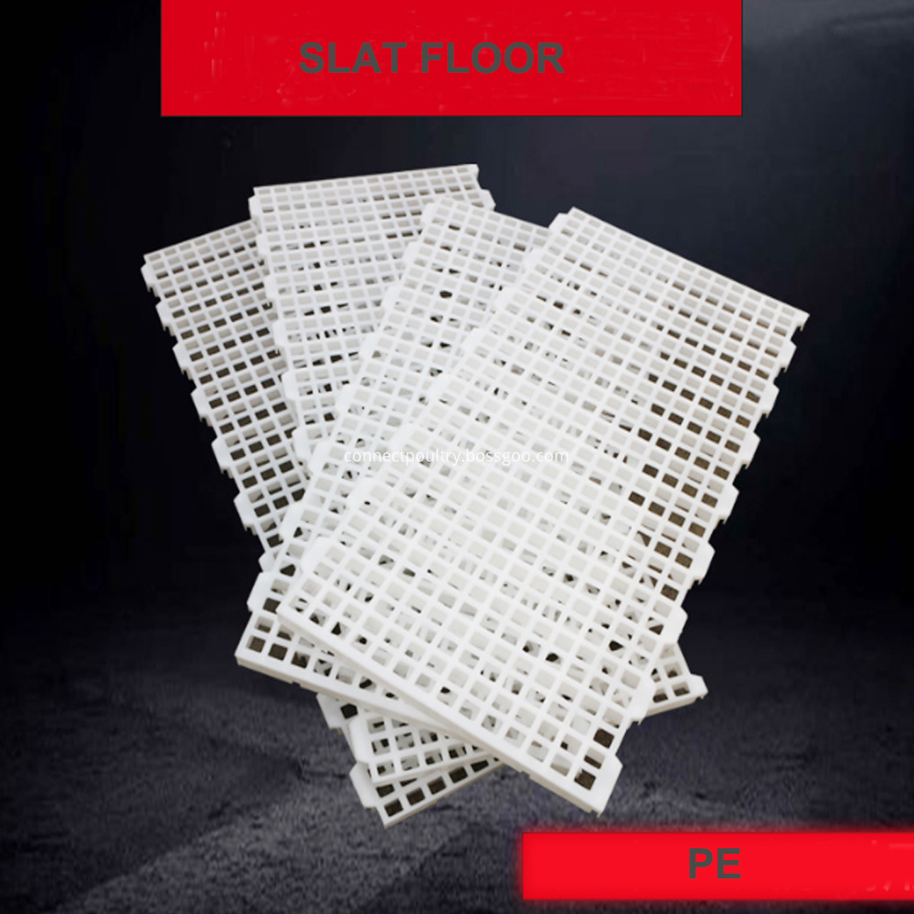Chicken House Slat Floor, High Quality Chicken House Slat Floor on