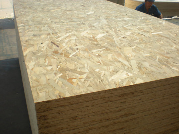 OSB Board