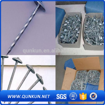 114 coil umbrella roofing nails