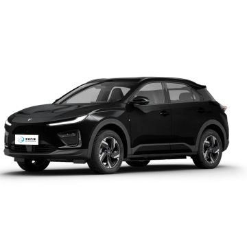 البيع الساخن Neta x 5-door 5 مقاعد سيارات الدفع الرباعي الكهربائية