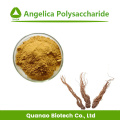 Angelica Sinensis Wortel Extract Ligustilide Ferulinezuur 1%