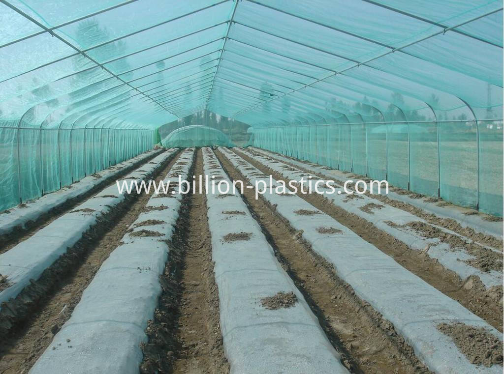 Biodegradable Plastic Mulch Film China Manufacturer