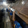 IQF French Fries Fluidisé Tunnel Freezer