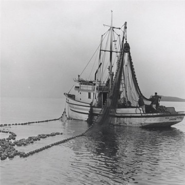 Fishing Purse Seine Net