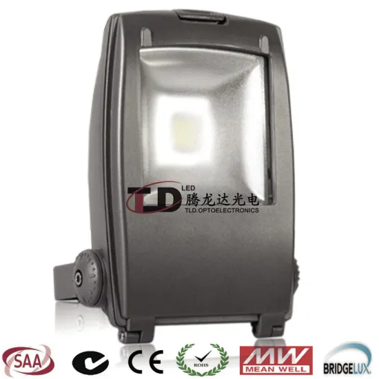 220 V Outside Led Flood Lights 3000 Lm With Cool White