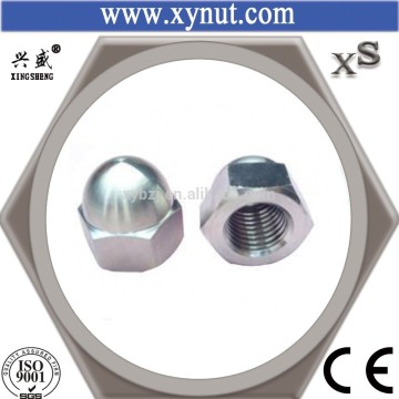 DIN917 Carbon Steel Cap Nut China Manufacturer
