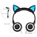 Custom Logo Wired Stereo Cat Headphones