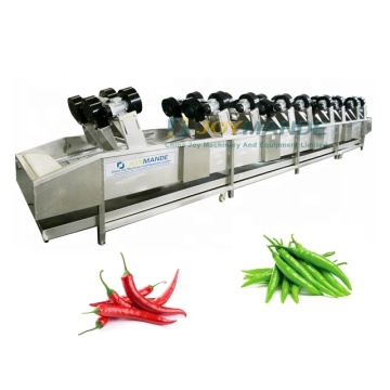 High Efficiency Speed Adjustable Automatic Air Blowing Chilli Drying Machine