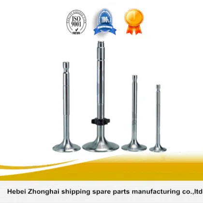 Boat MAN 16/24 Diesel Engine Flush Valve