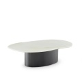 Marble stainless steel coffee table
