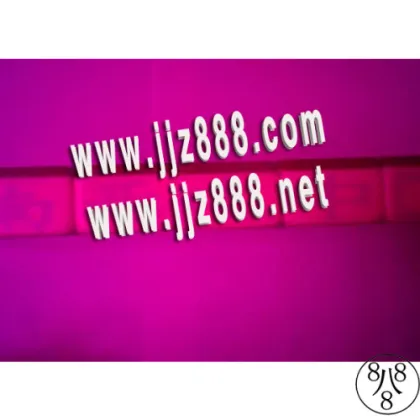 The Marked Domino|domino Cheat 