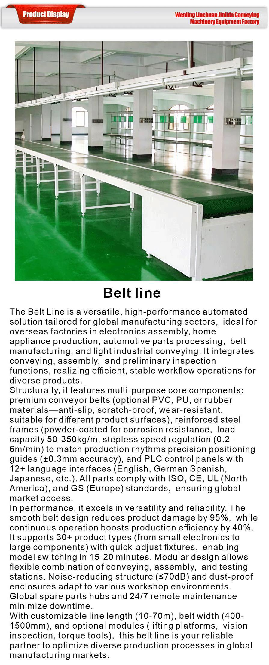 Belt Conveyor Line-xiangqing1-JLD071