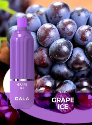 Elf Electric Car/Battery Car/Electric Vehicel