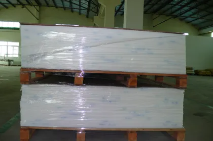 Anti Bacteria White PP Plastic Cutting Board