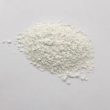 High purity Paint using Organoclay Rheological Additive