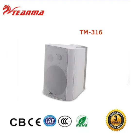 Fashion sound 40W 6 inch Made in china factroy supply advance Indoor Conference Speaker