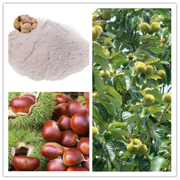 Natural Pure Horse Chestnut Powder