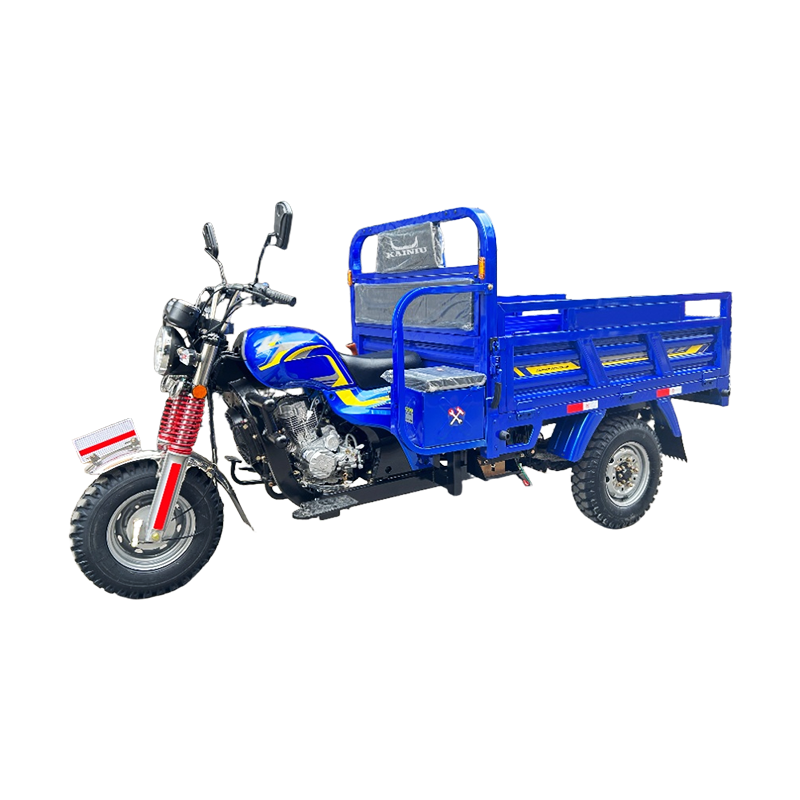 Compact Three Wheel Motorbike for Easy Handling