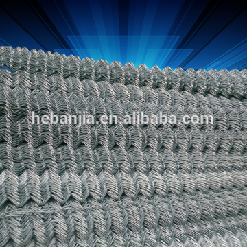 chicken wire mesh