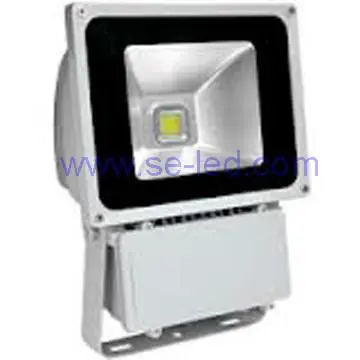 80Watt Outdoor RF Green Color LED Floodlight