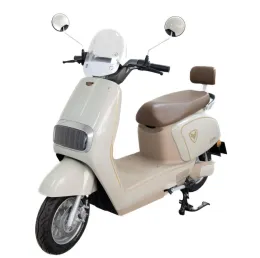 portable commuter scooter in daily life