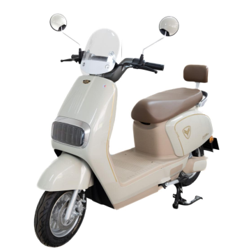 portable commuter scooter in daily life