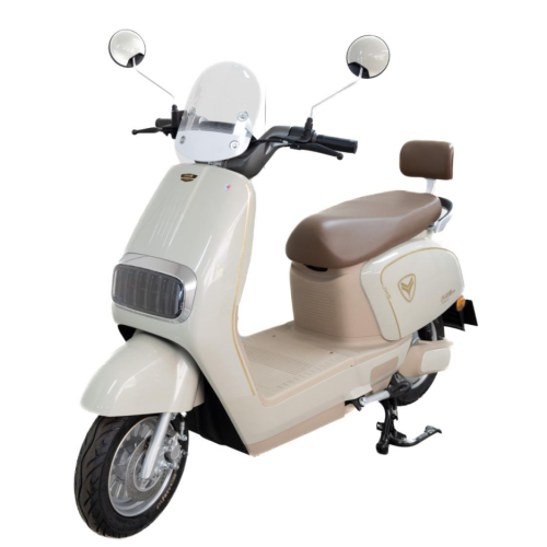 portable commuter scooter in daily life