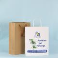 Luksusowy niestandardowy kolorowy uchwyt Kraft Paper Shopping Bag