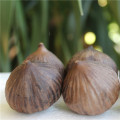 Health Quality Black Garlic Sale