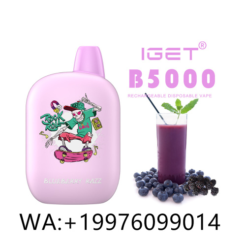 Iget B5000 Mesh 5000 Puff Disposable